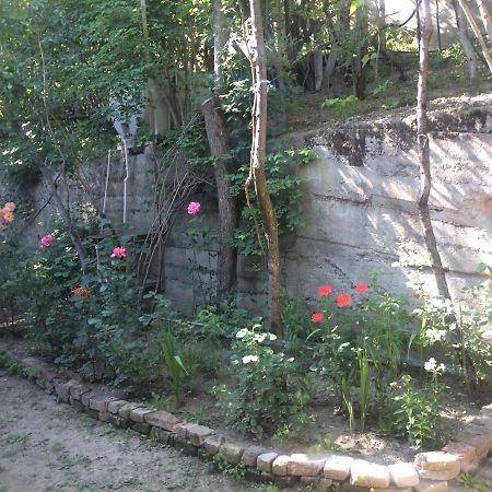 Guesthouse Malkhazi Боржомі Екстер'єр фото