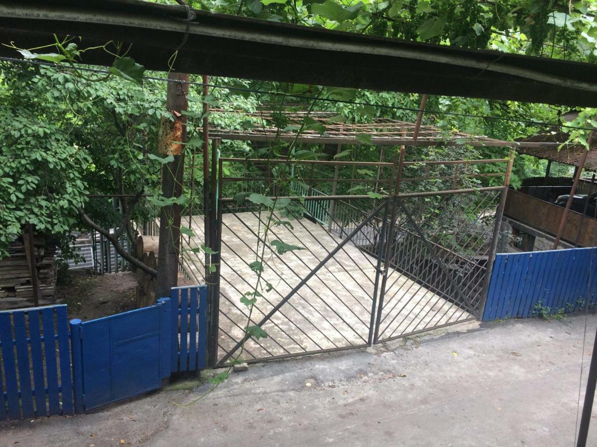 Guesthouse Malkhazi Боржомі Екстер'єр фото